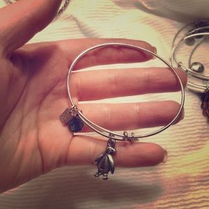 Alex and ani